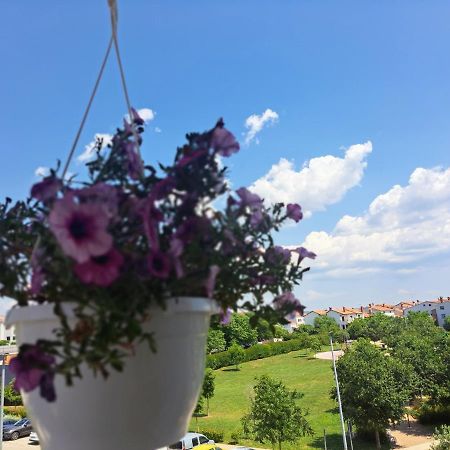 Battistella'S Near The Sea Apartment Rovinj Exterior photo
